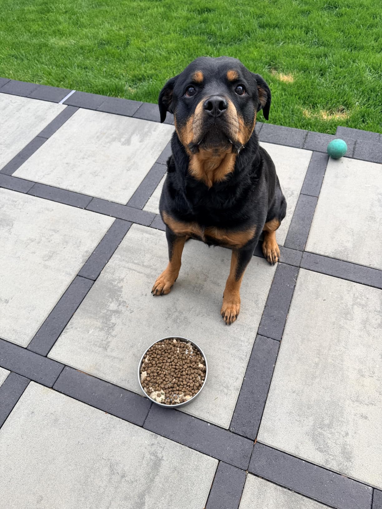 Feedoo Slow Feeder Dog Bowl-2Cups for Medium Breeds, Double Wall Food-Grade Stainless Steel, Heavy Duty with Non-Slip Rubber Base, Puzzle Maze Bowl to Slow Down Eating customer photo 1