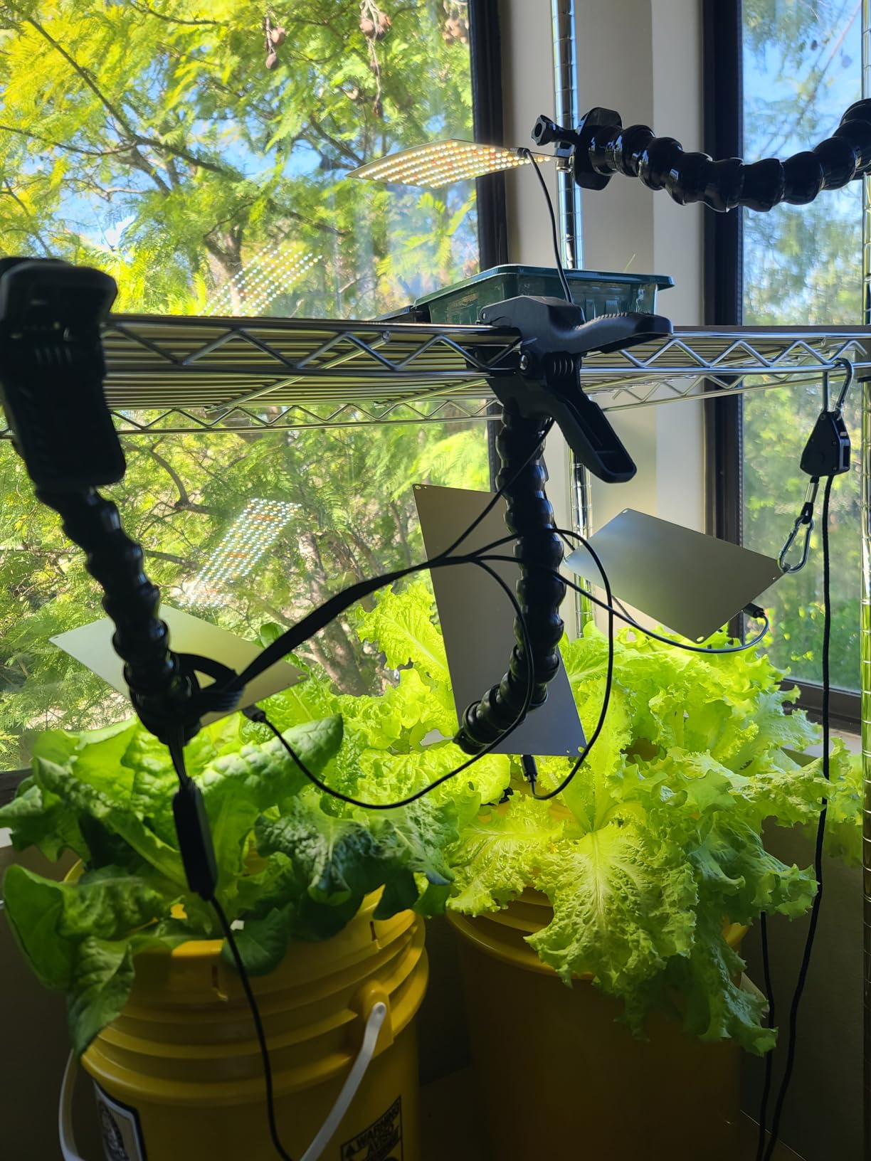 Garpsen Grow Lights for Indoor Plants, 6000K, for Seed Starting, 4Panels customer photo 1