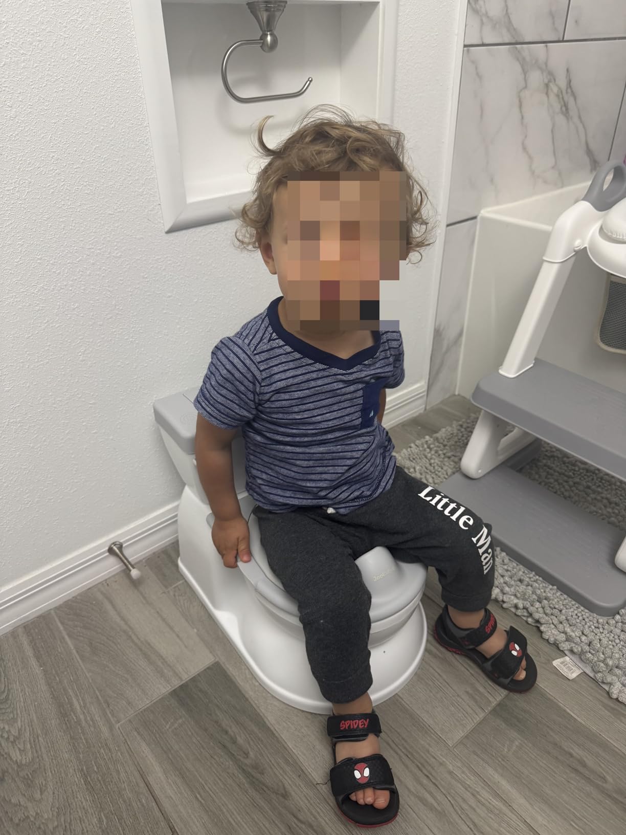 Jool Baby Real Feel 2-in-1 Potty with Wipes Storage, Flushing Sounds & Disposable Liners - Realistic Toilet - Easy to Clean & Assemble (Gray) customer photo 2