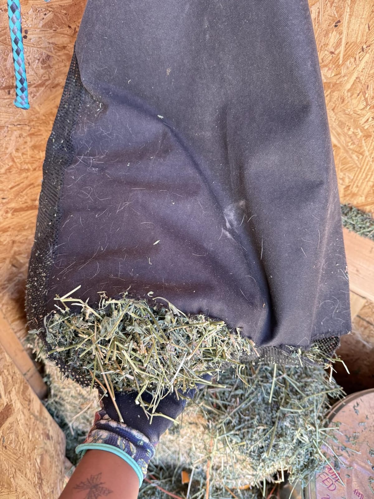 Hay Bag Hanging Goat Feeder Tote with Adjustable Strap | Premium Oxford Cloth with metal ring,Breathable mesh sides,for Horses Donkeys Cows Alpacas Ostriches & Other Animals,Black customer photo 2