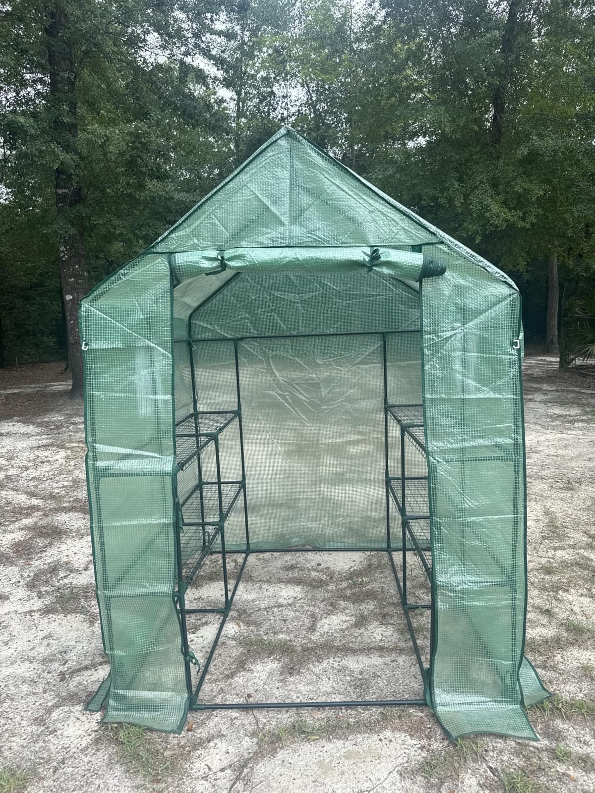 SPECILITE 56×56×78Inch Walk-in Greenhouse for Outdoors Garden Plant, Green customer photo 2