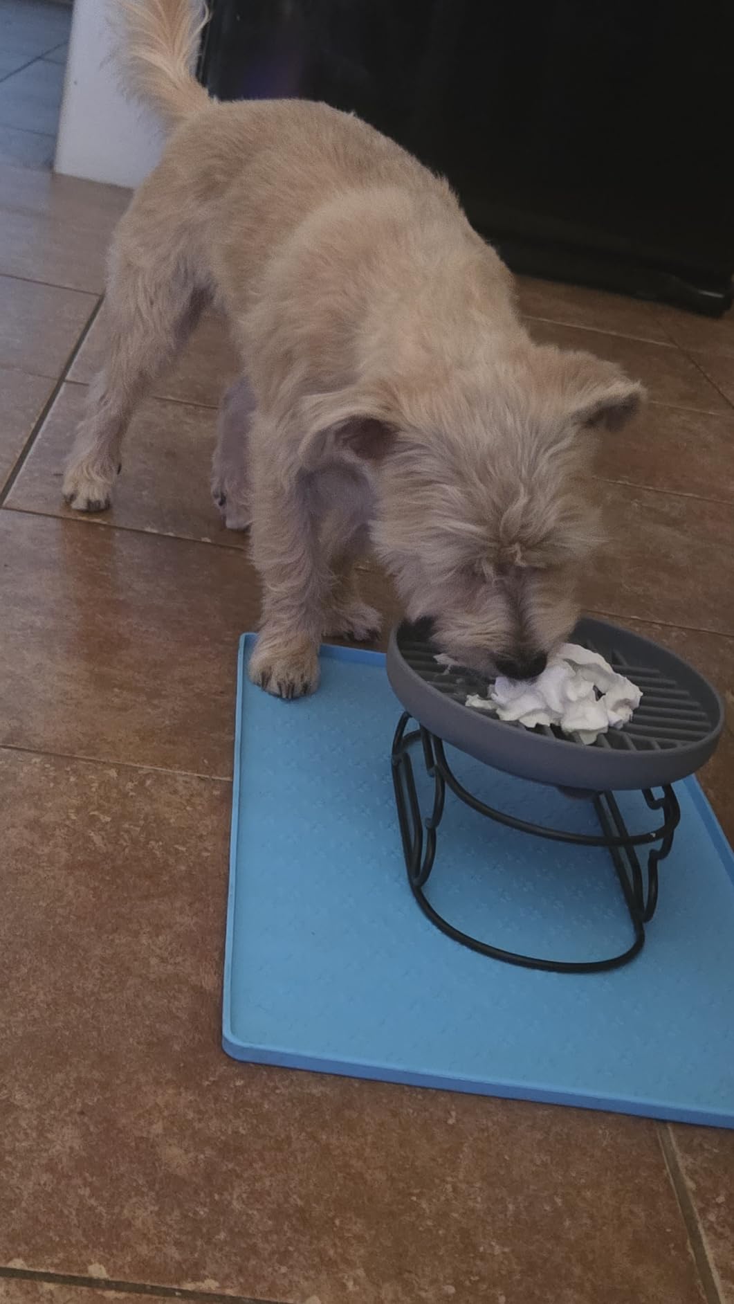Slow Feeder Dog Bowls, Silicone Slow Feeder for Dogs & Puppies, Dog Puzzle Bowl with Suction Cup for Anxiety Relief, Slow Eating, Dishwasher Fit, for All Breed, Grey customer photo 1