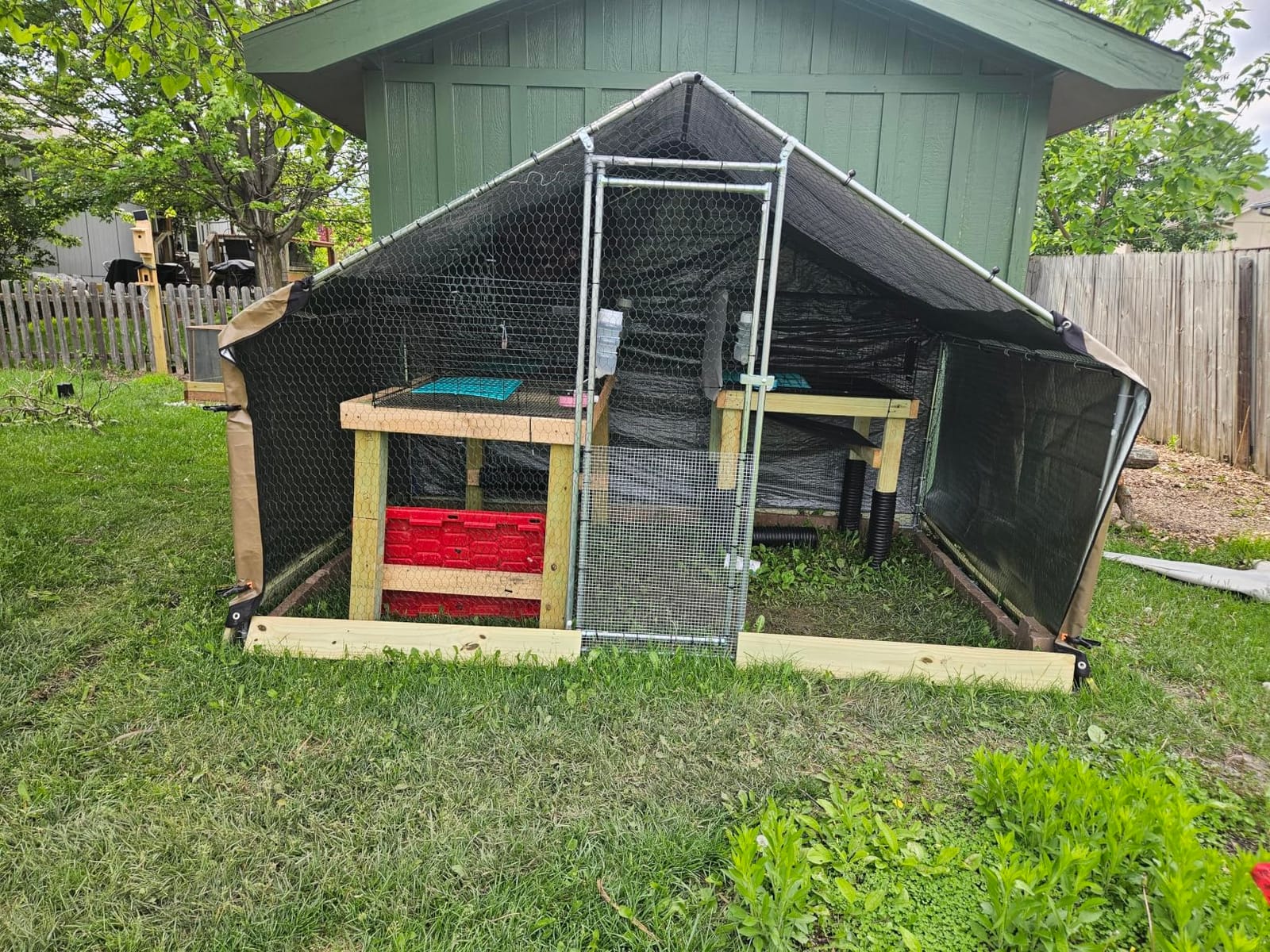VEVOR Large Metal Chicken Coop, 9.8x13.1x6.5 ft Large Walk in Chicken Runs for Yard with Cover, Hen House Enclosure with Security Lock, Outdoor Duck Rabbit Cage Poultry Pen for Backyard, Farm, Yard customer photo 2
