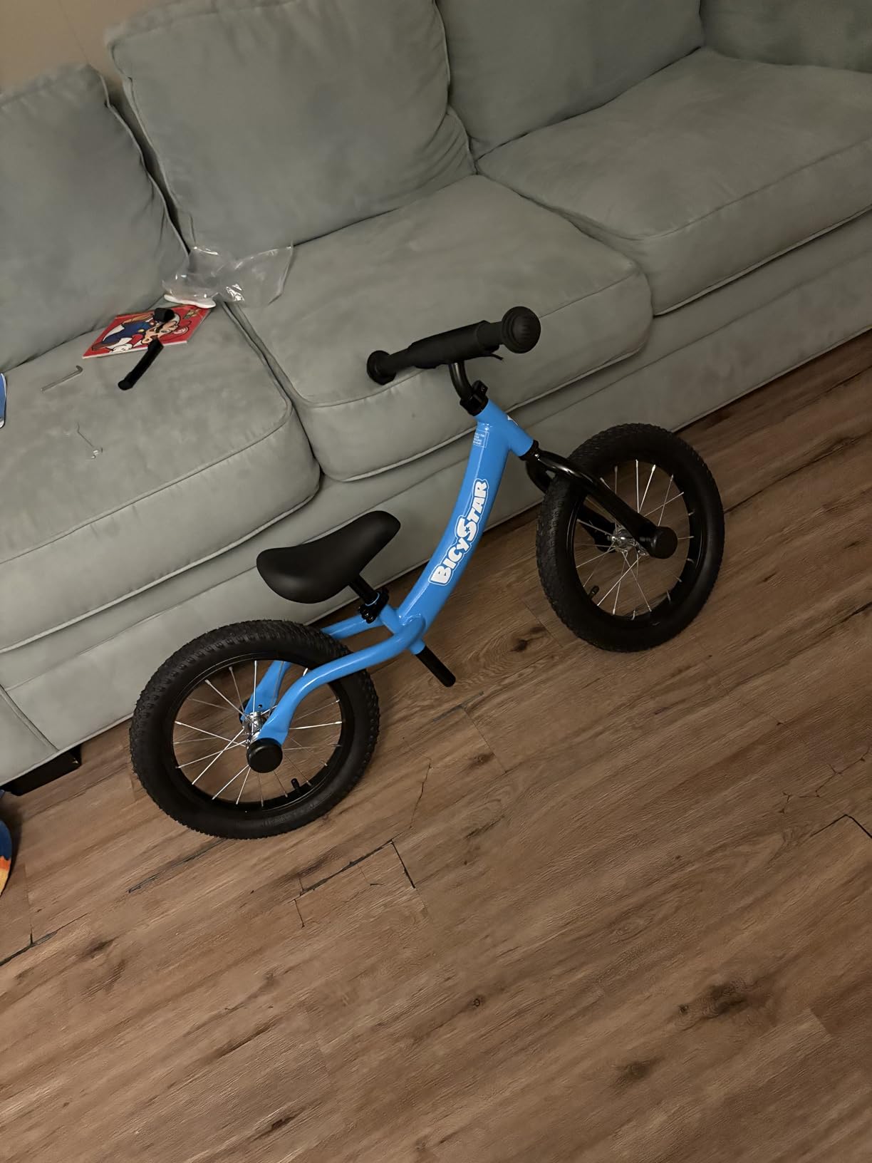 bicystar 14 Inch Balance Bike for Kids 3-5 with Rubber Air Tires, Blue customer photo 1