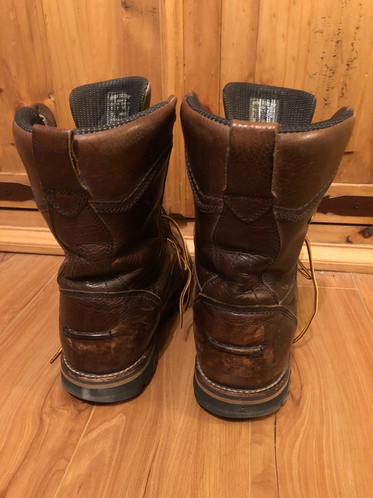 Irish Setter Elk Tracker 12