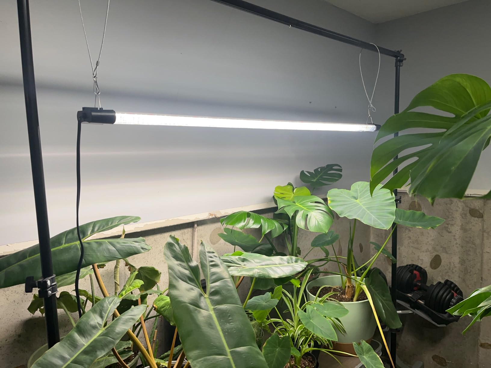 LED Grow Light Full Spectrum Light Linkable 5000K Daylight + 660nm Red Indoor Plant Lighting Fixture (2 FT) customer photo 1