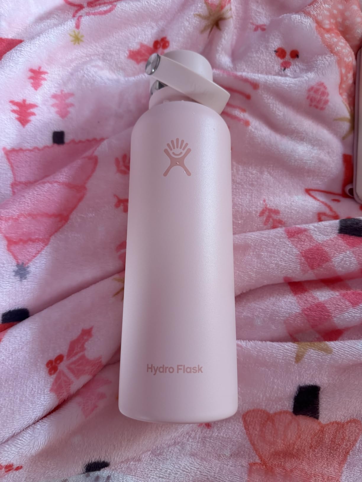 Hydro Flask Water Bottle - Insulated Stainless Steel - Non Spill, Leakproof in 24 Oz Agave Green customer photo 2