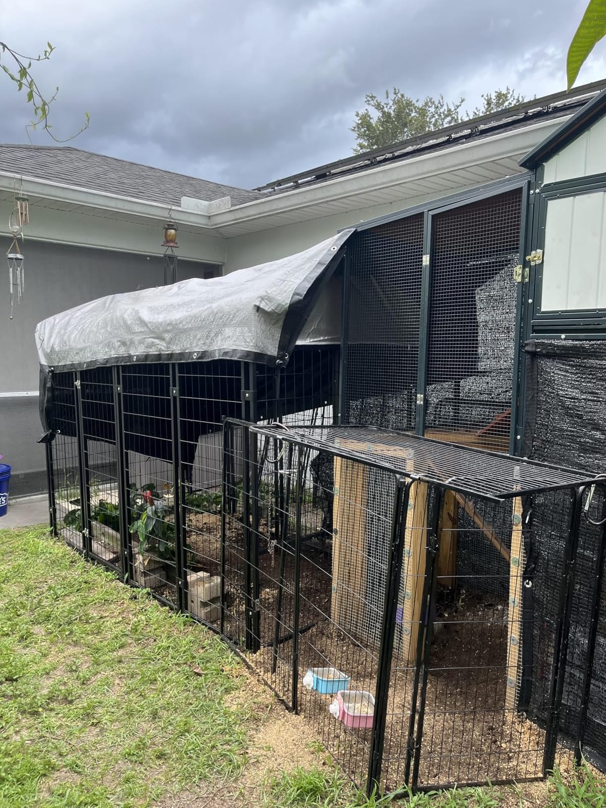 Dog Kennel Outdoor, Large Outside Dog Kennel with Roof & Swivel Feeders/Removable Doggy Door Allow Connecting Your Dog House, Heavy Duty Dog Run Pen for Medium/Large Dogs (8'L x 4'W x 6'H) customer photo 2