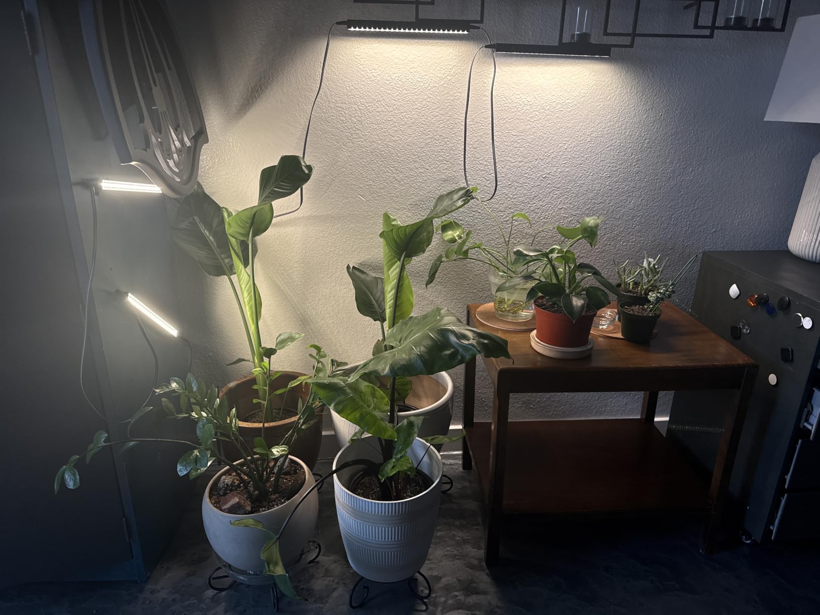 Barrina T5 Grow Lights for Indoor Plants, 2FT 5000K 40W (4 X 10W), 4 Packs customer photo 1