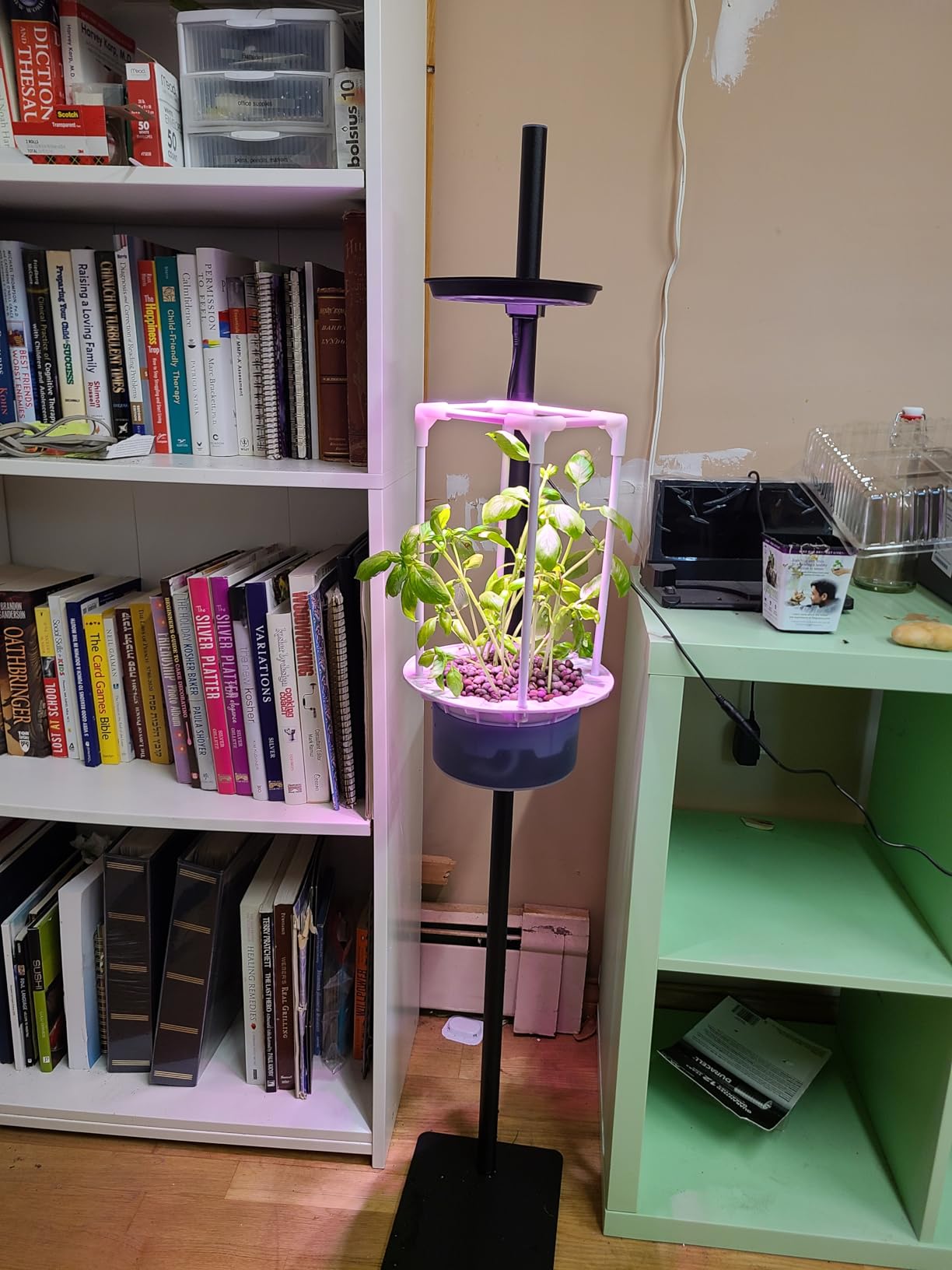 Indoor Plant Hydroponics Growing System Tower Kit with Grow light,Herb Vegetable Indoor Gardening System with Standing Floor Tall LED Grow Lights,Height Adjustable with Stand,Timer,Trellis customer photo 2