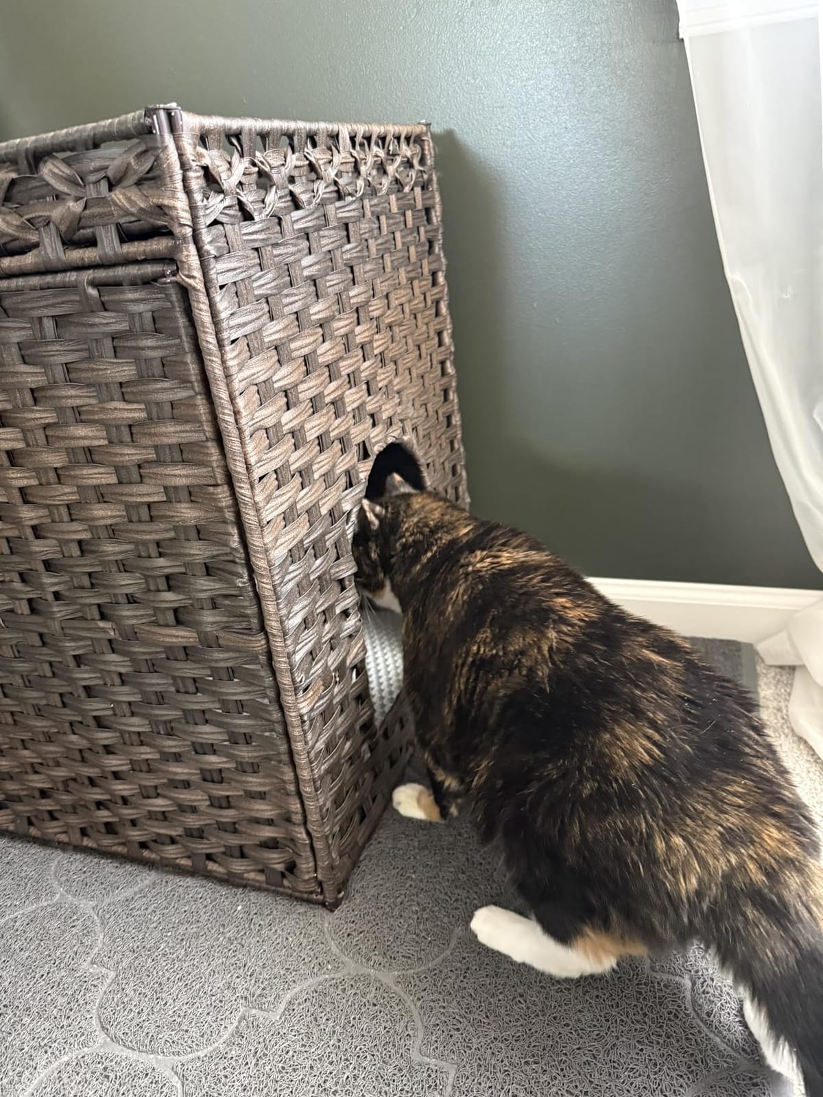 SETVSON Cat Litter Box Enclosure, Extra Large Hidden PE Rattan Natural customer photo 1