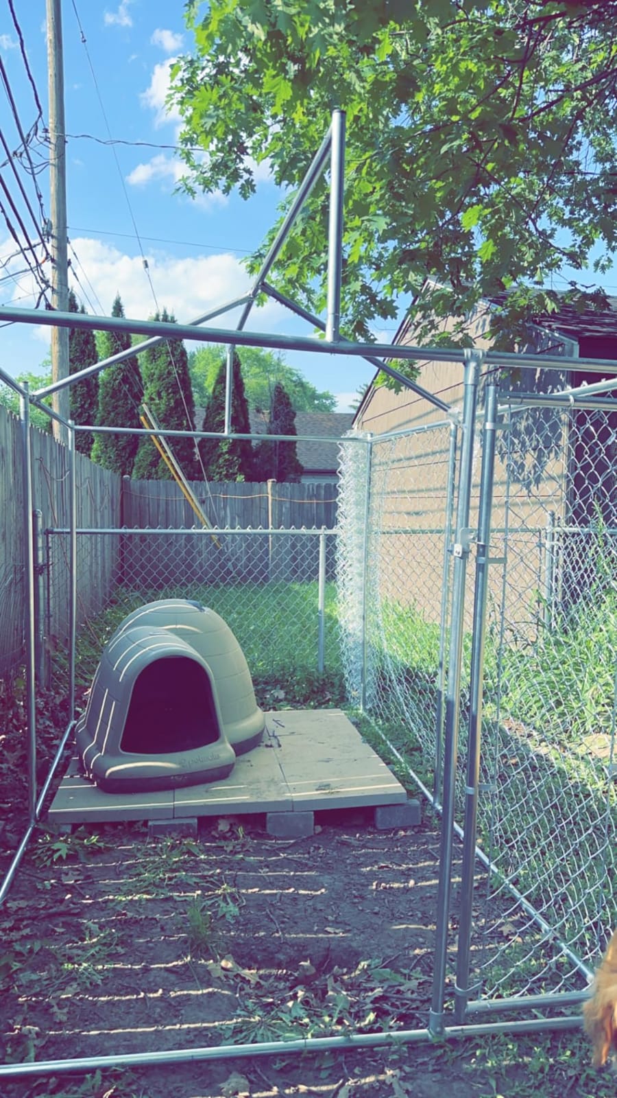 10 x 10 x 6 ft Outside Dog Kennel Outdoor Large with Roof, Enclosure with Roof, Outdoor Heavy Duty Dog Run Pens House Pet Playpen with Galvanized Chain Link customer photo 2