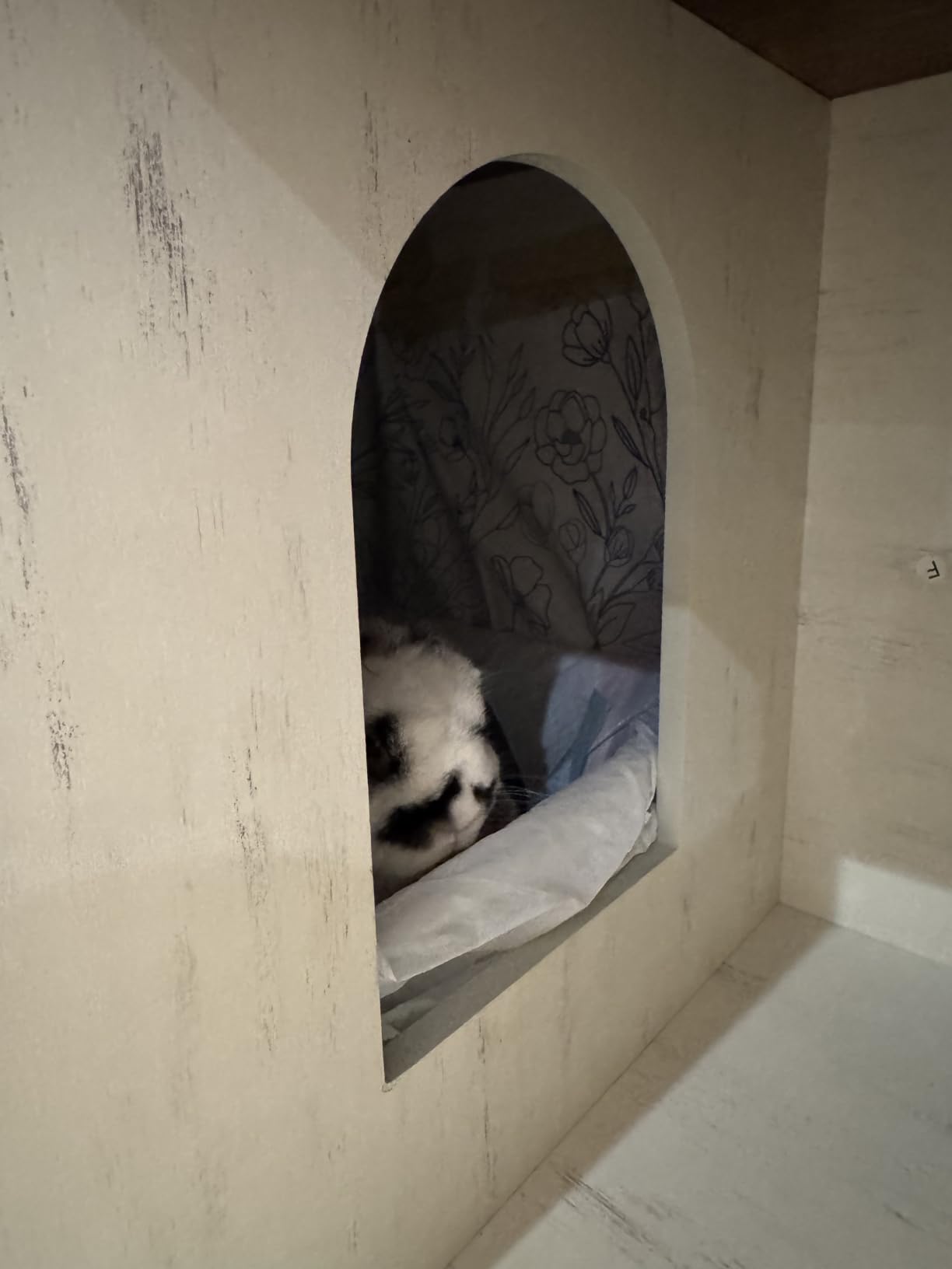 Feandrea Litter Box Enclosure, Modern Cat Litter Box Furniture Hidden customer photo 1