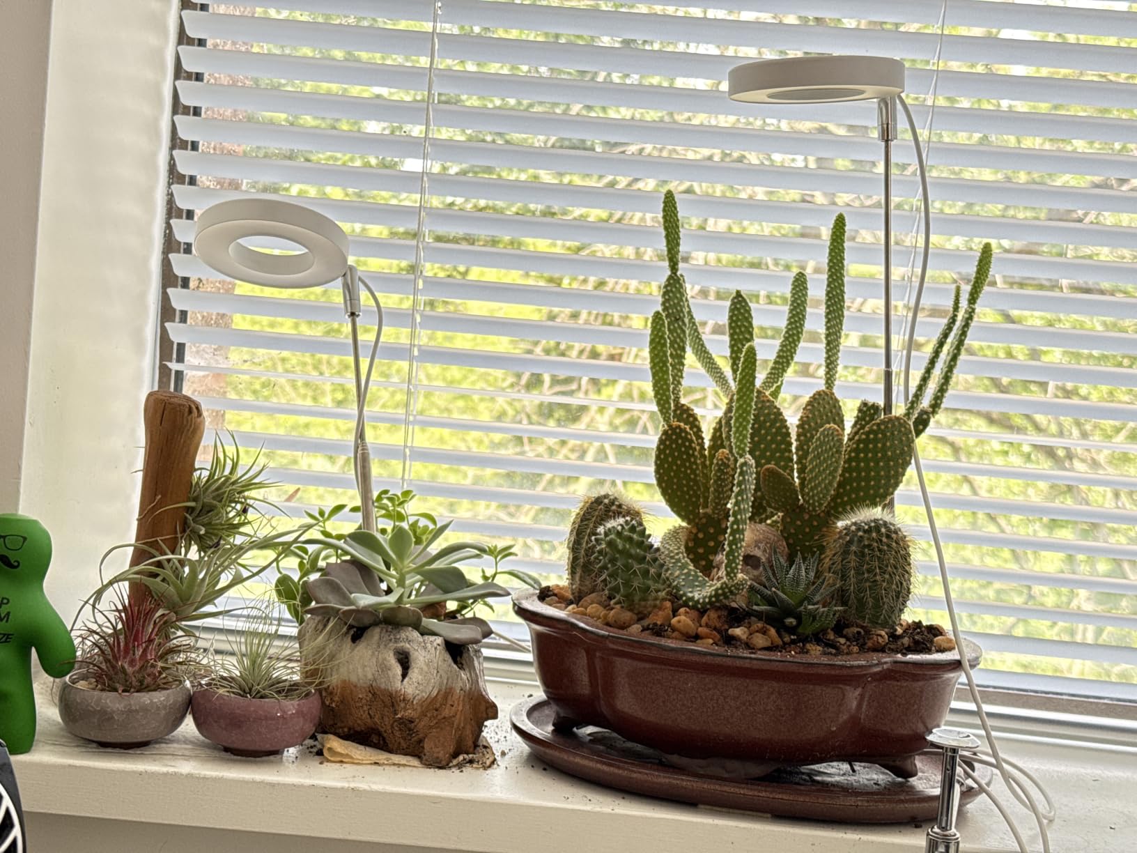 Grow Lights for Indoor Plants Small Potted - Full Spectrum, Auto 3/9/12H Timer, 10-Level Dimming & Adjustable Height - Compact Grow Light for Succulents, Herbs, Foliage in Home/Office (White,1PACK) customer photo 2