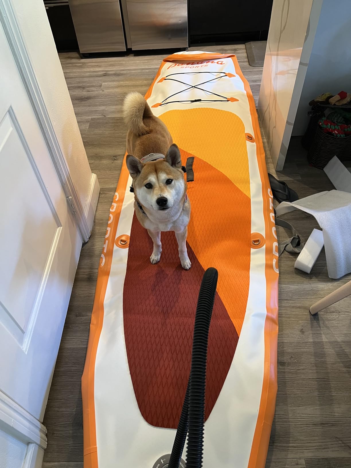 Panana Inflatable Stand Up Paddle Board 10'/10'8''x30''/32''x6'' iSUP Non-Slip Deck Paddleboard for Adults Beginners Youth, with Paddle Pump Fins Leash Backpack customer photo 1