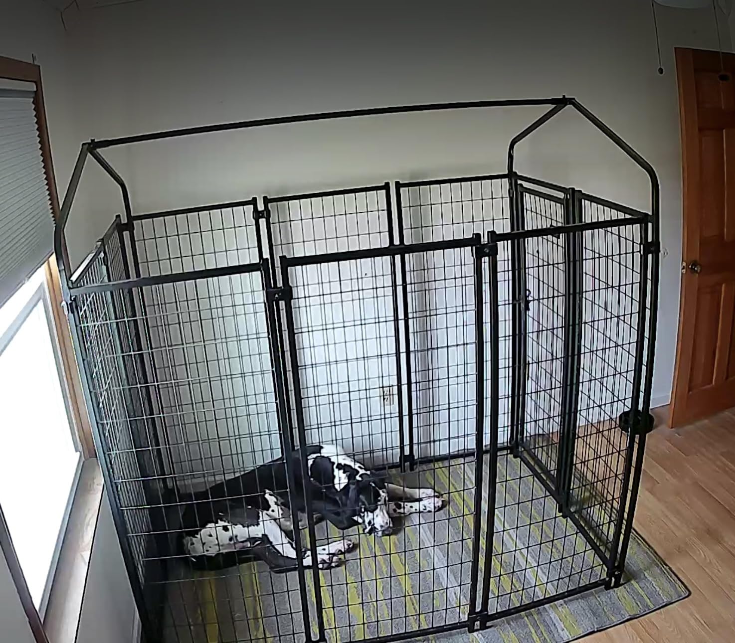 PawHut Outdoor Dog Kennel with Roof, 6' x 6' x 6' Heavy Duty Welded Wire Dog Playpen Enclosure with Escape-Proof Lock, UV-Resistant & Waterproof Cover, for Large Dogs, Chickens, Ducks, Silver | Heavy Duty Welded Wire Dog Playpen Enclosure, Escape-proof Lock, UV-Resistant & Waterproof Cover, for Chickens, Ducks customer photo 2