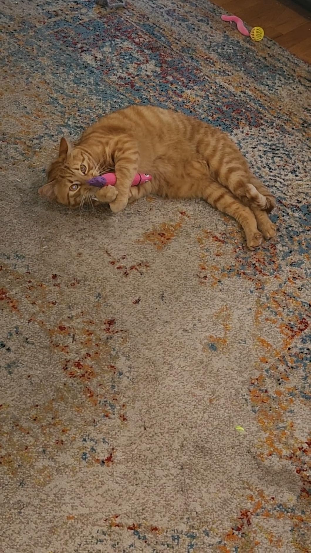 PetBusy Cat Toys with [5000 mg A+Natural Catnip & Silvervine] Kicker Fun customer photo 1
