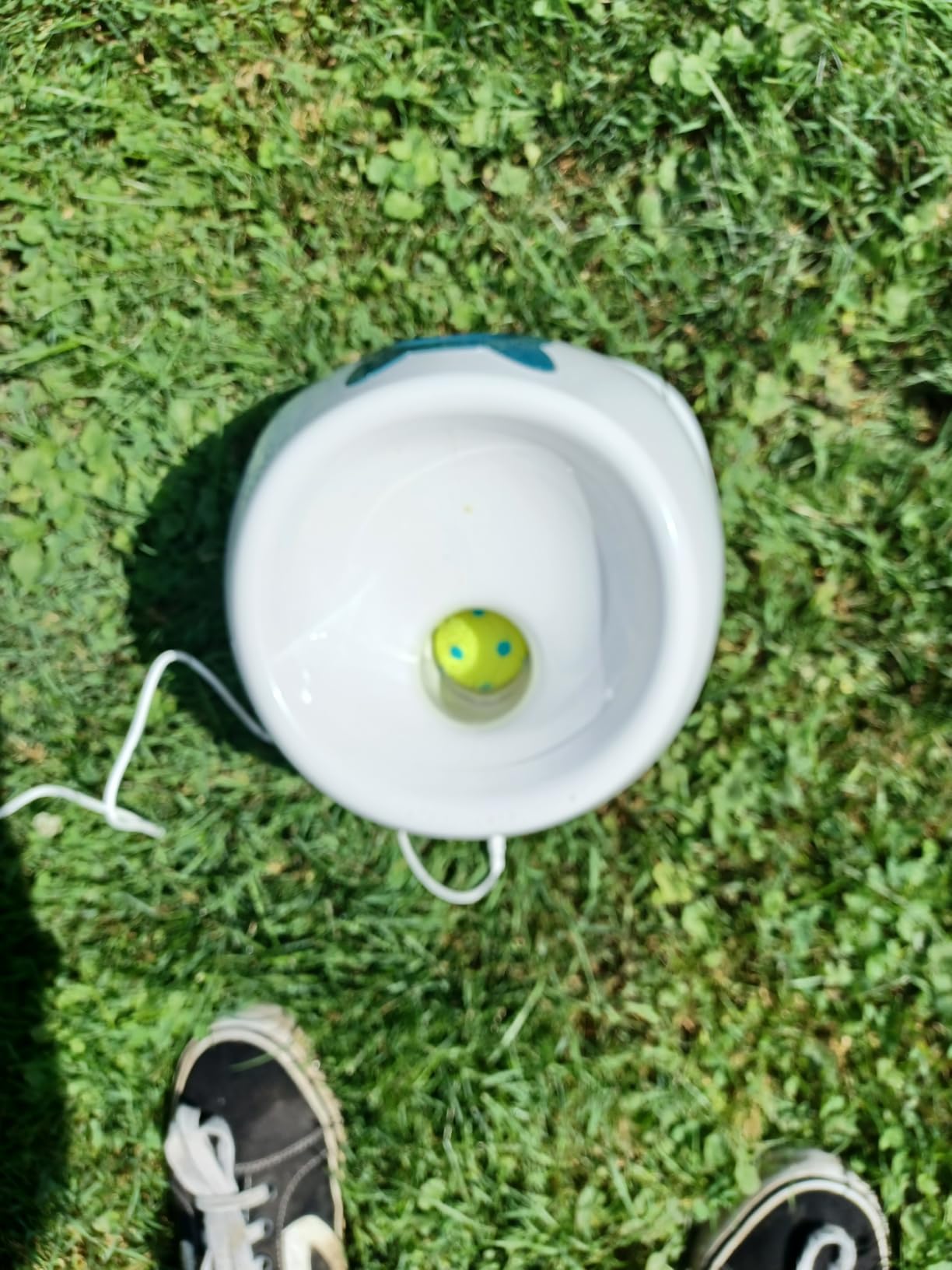 Automatic Dog Ball Launche with 9 Balls (2 inches) customer photo 1