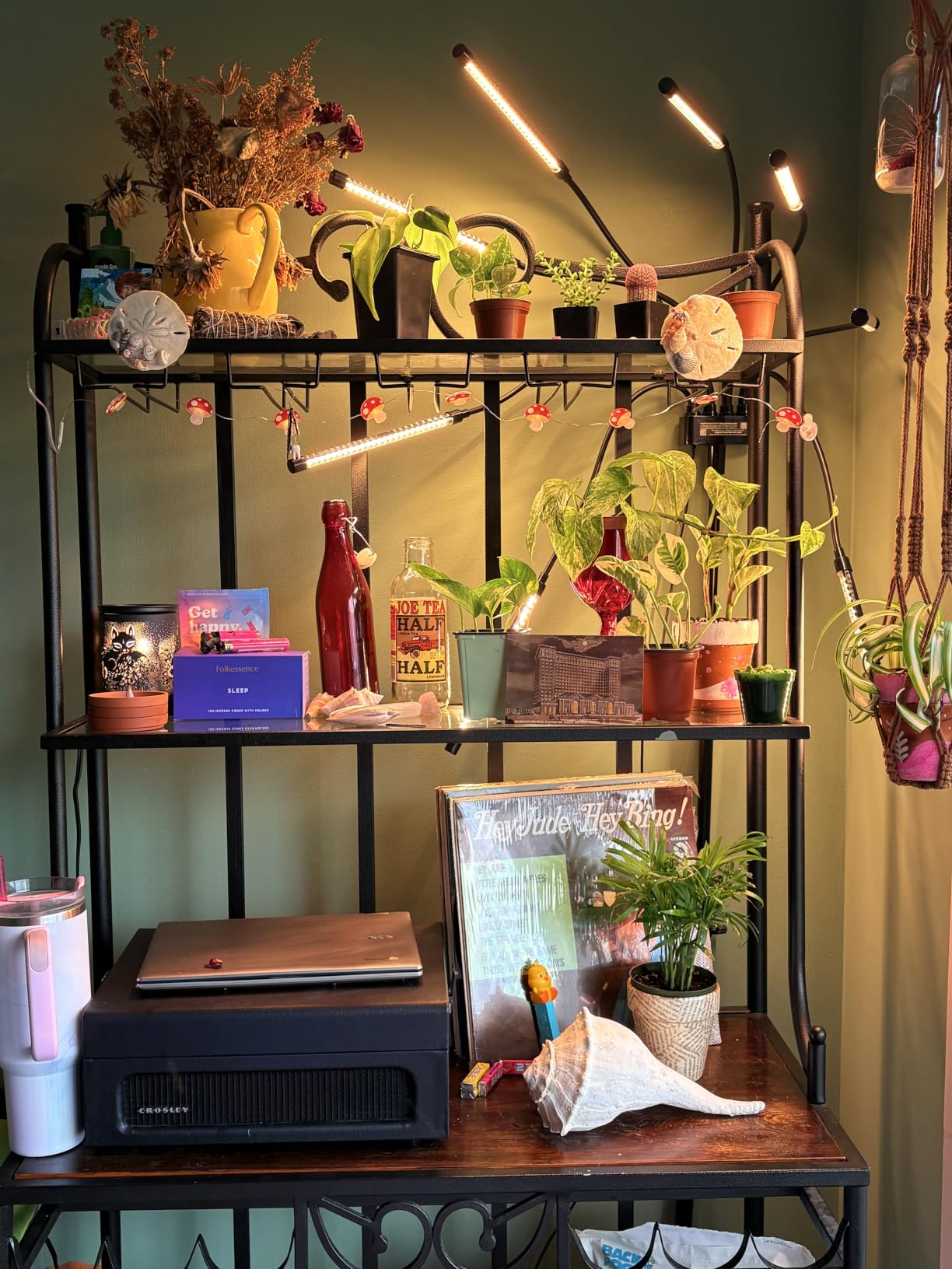 Grow Lights for Indoor Plants [ 10 in1 ] 500 LEDs, Full Spectrum Grow Light for Indoor Growing with Tripod Stand, Auto On/Off Timing 4/8/12H, Plant Grow Lights Indoor. customer photo 2