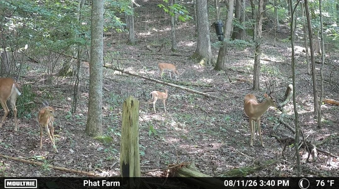 Moultrie Edge 3 Cellular Trail Camera - 40MP, 0.5s Trigger customer photo 1