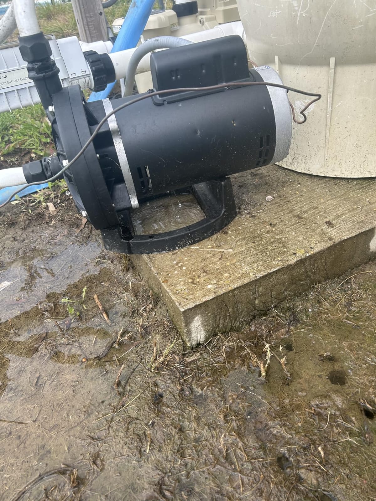Aquastrong PB4-60 Pool Booster Pump, Pure Copper Motor, 3/4 HP, Dual Voltage 115V/230V, Low Noise, Wide Compatibility, Easy Installation for Pressure-Side Pool Cleaners Vac-Sweep 280, 380, 3900-Black customer photo 2