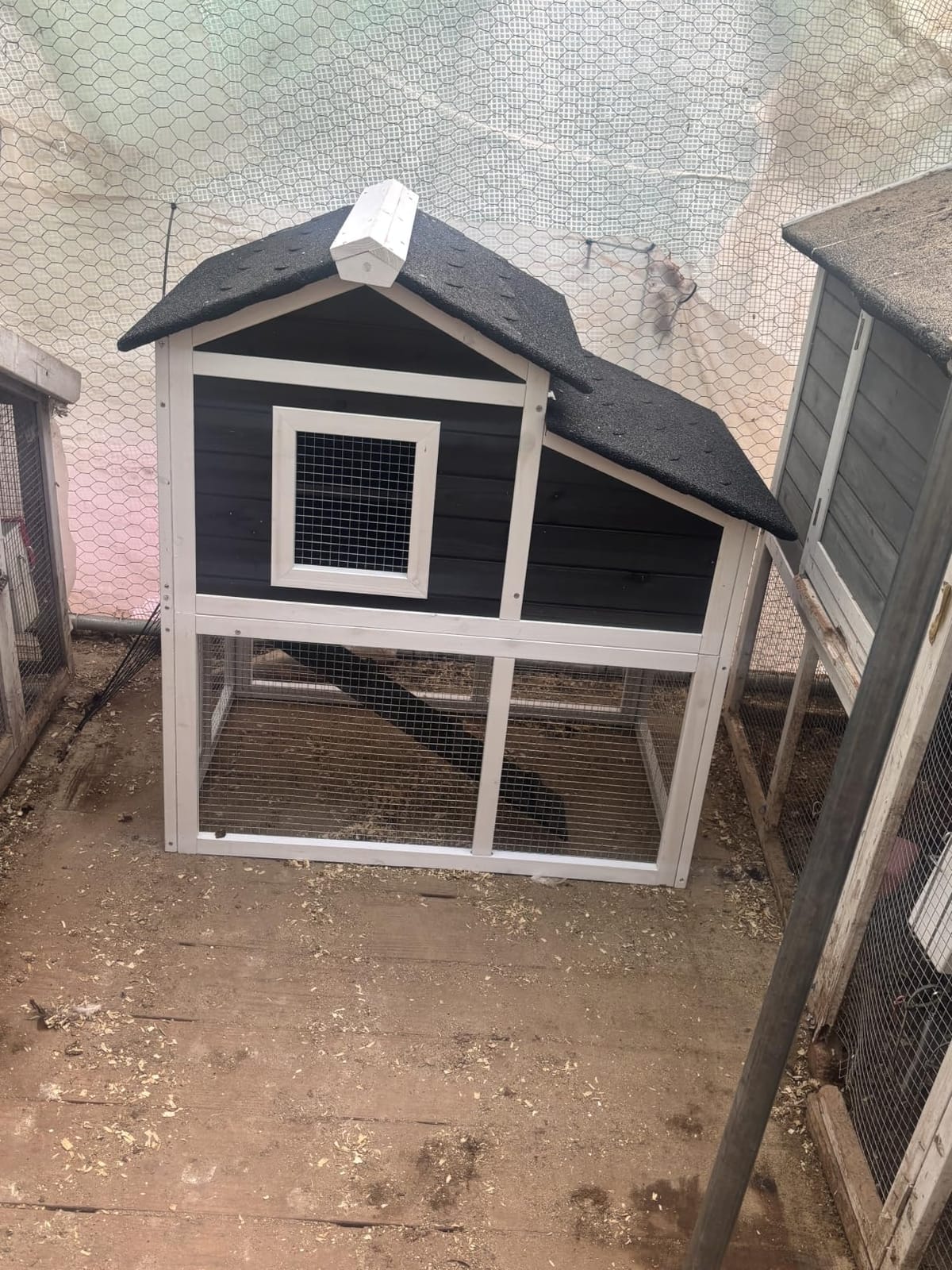 Small Chicken Coop with Run for 2-5 Hens, Backyard & Farm Application customer photo 1