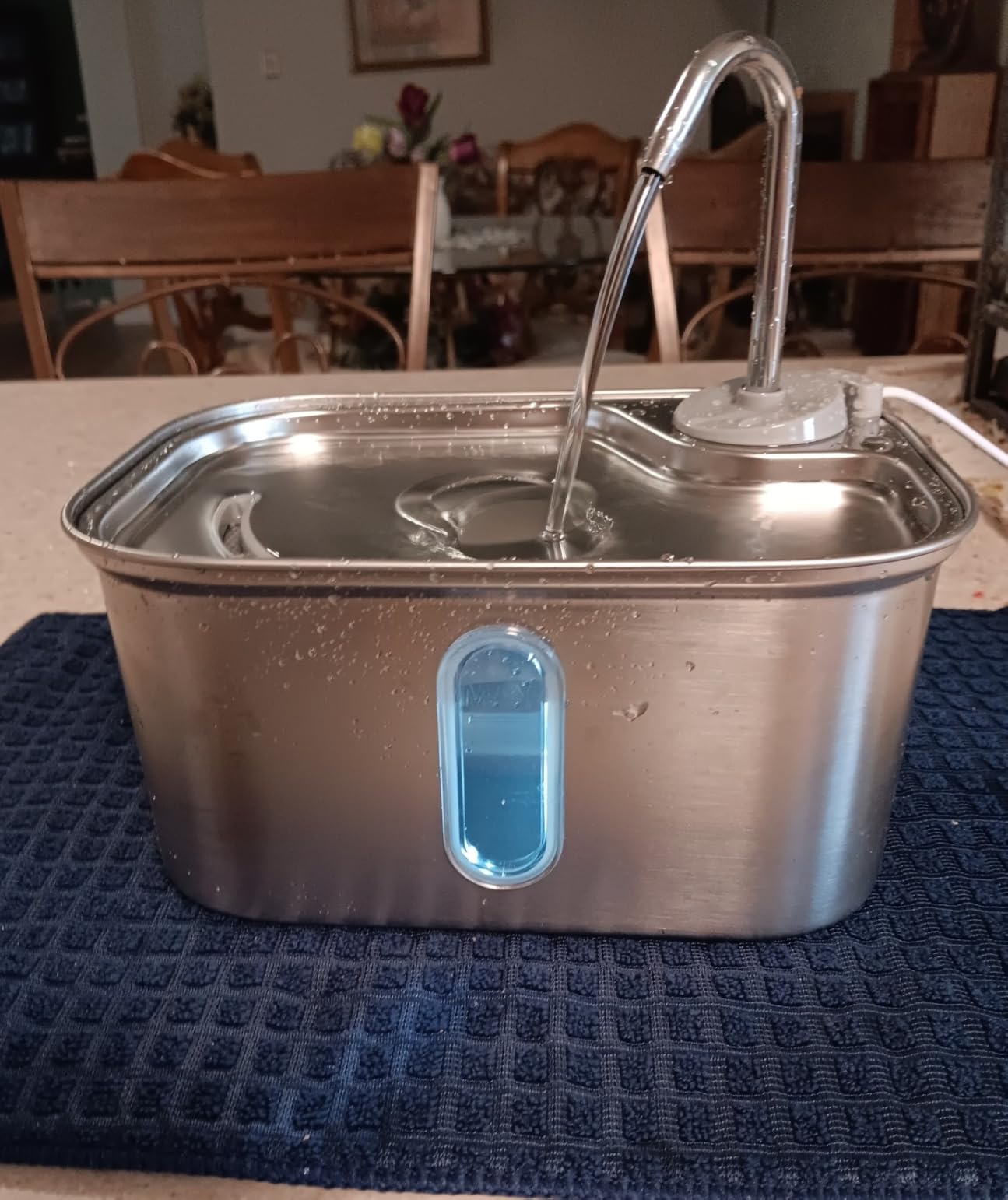 Cat Water Fountain Stainless Steel for Cats Indoor 2.5L 85oz by BPA-Free SUS304, Effective 6-Layer Filter Cat Fountain for Drinking 15dB Ultra Quiet Metal Pet Water Fountain (Fountain+1 Filter) customer photo 2