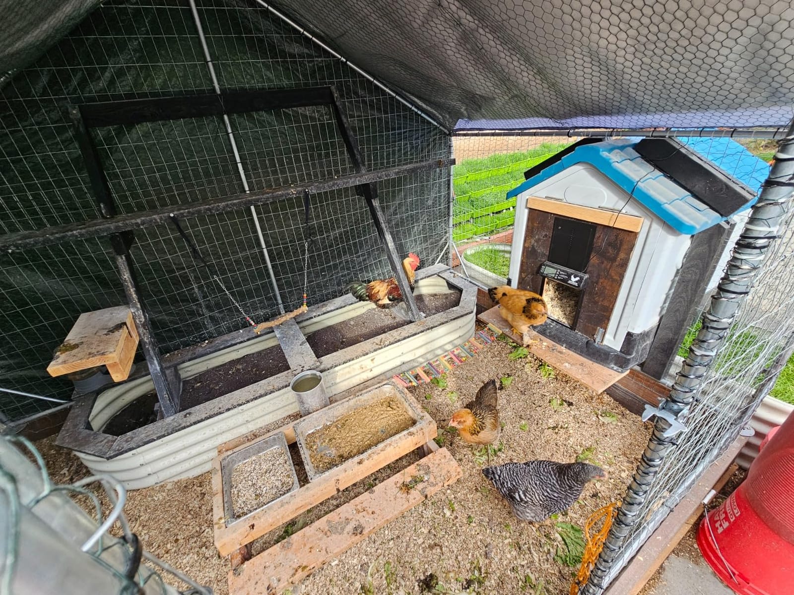INNOLAND Large Size Automatic Chicken Coop Door - Reinforced Gear Drive customer photo 2