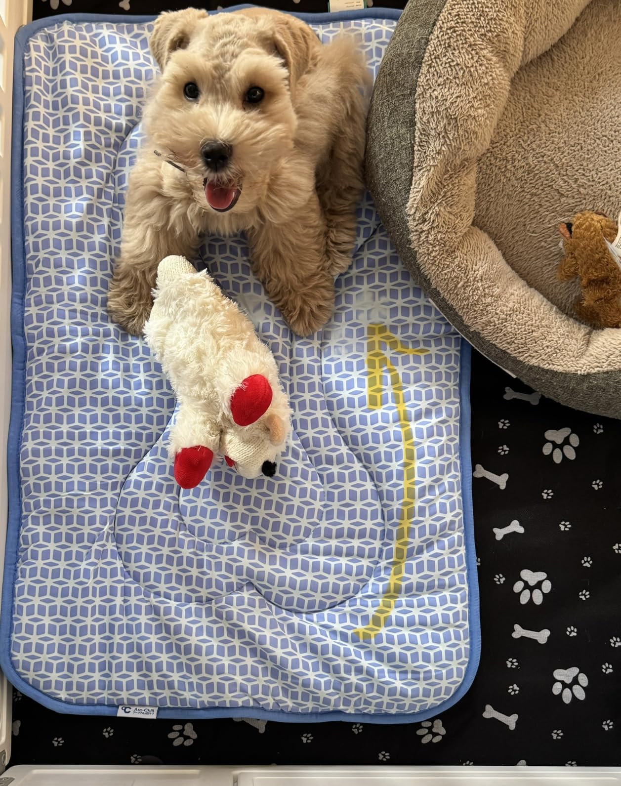 Rywell Thickened Cooling Mat for Dogs, 44 x 32In, Suitable for All Seasons customer photo 1