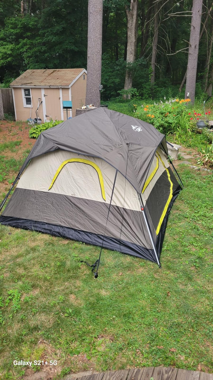 4 Person Instant Tents for Camping Setup in 50s, Cabin Tent with Rainfly customer photo 1
