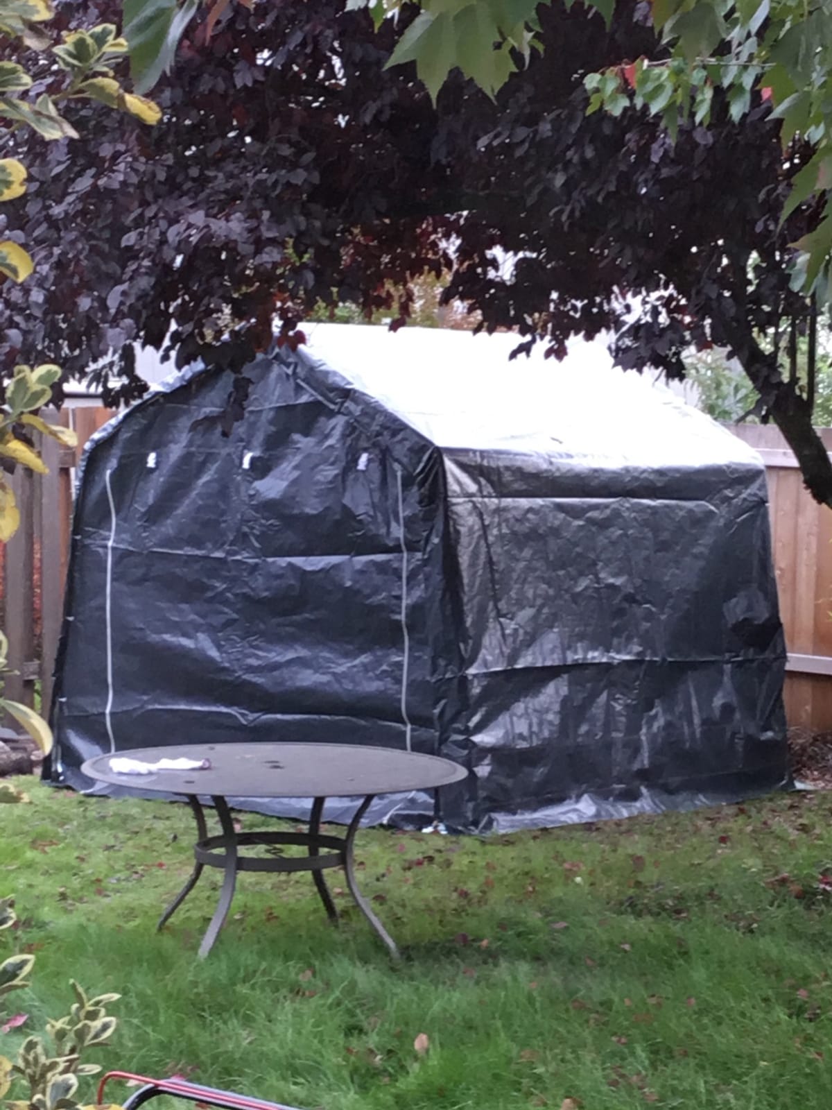 Quictent 10x10FT Storage Shelter Multi-Use Shed with Roll-Up Door&Vents customer photo 2