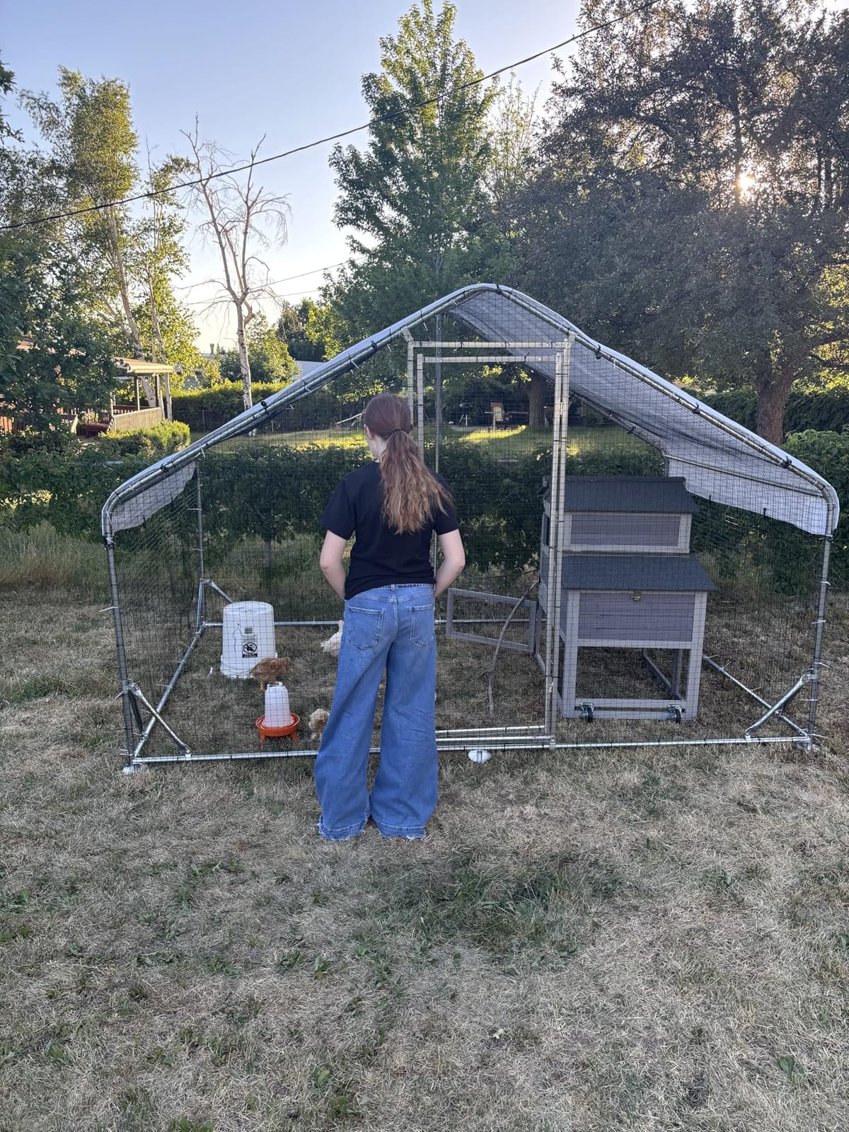 Metal Chicken Coop with Hardware Cloth, Walk-in Poultry Cage for Hen Duck | Hardware Cloth, Solar Light Included, UV-Resistant Waterproof Cover, Large Walk-in Space for 15-20 Birds customer photo 2