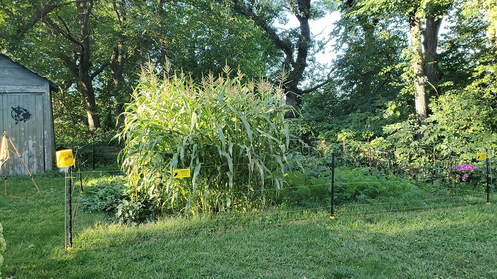 Electric Fence Charger, Electric Fence Energizer 6.7 Joule Ac Powered customer photo 1