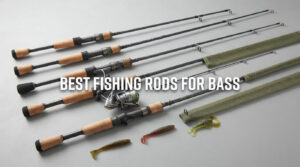 best fishing rods for bass