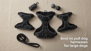 Best no pull dog harnesses for large dogs