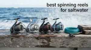 best spinning reels for saltwater