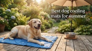 Best dog cooling mats for summer