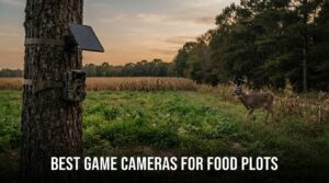 best game cameras for food plots