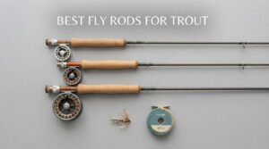 best fly rods for trout