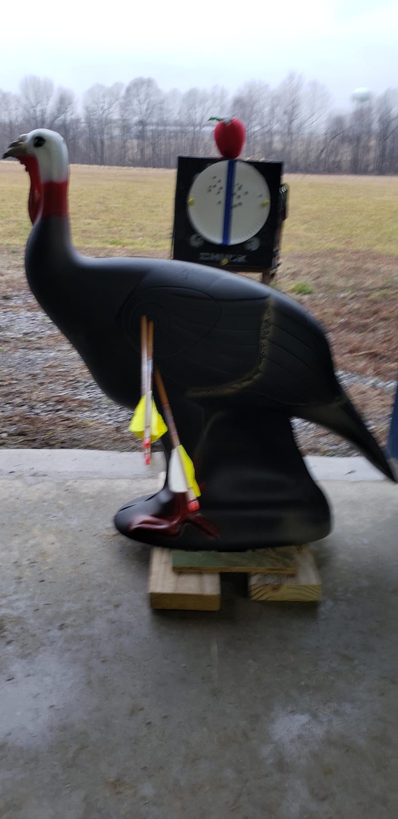 SHOOTER Turkey 3D Archery Target, Lifelike Solid Body Design for Realistic Practice, Scoring Ring in Vitals, Includes Ground Stakes, 32”H x 31.5” W Size customer photo 2