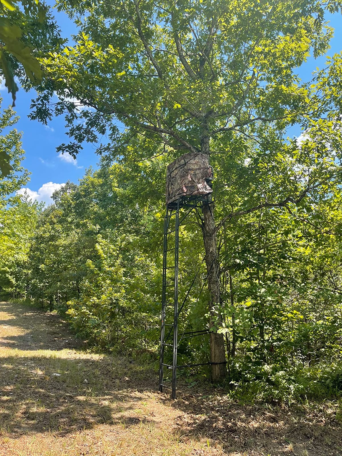 Guide Gear 20' 2-Man Ladder Tree Stand with Hunting Blind Climbing Hunt Seat, Hunting Gear Equipment Accessories customer photo 1