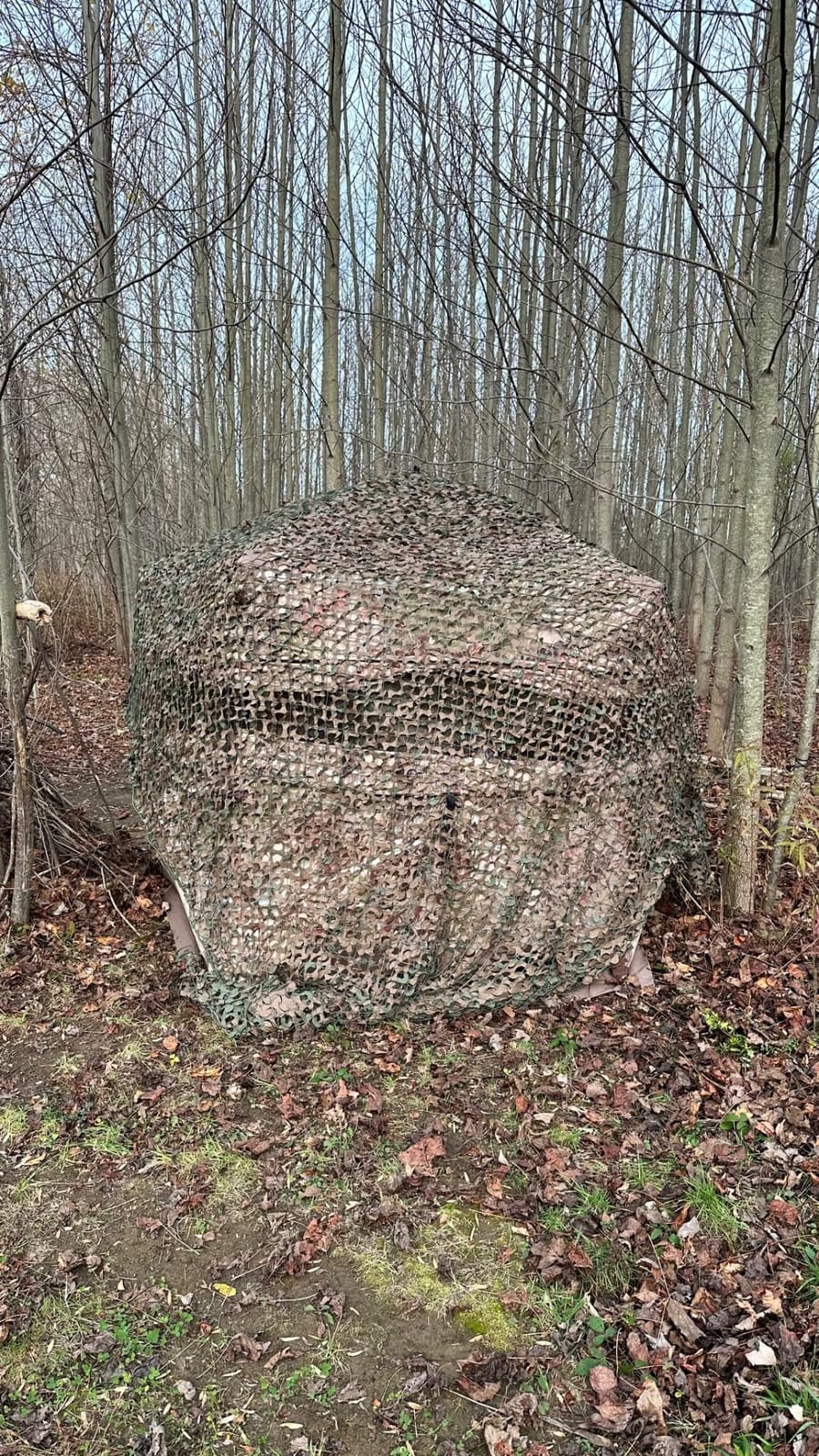 Barronett Blinds Ox Portable Hunting Blind, Pop-Up Hub Blind, Durable Oxhide Fabric, Panoramic Shooting Window, Bloodtrail Backwoods customer photo 1