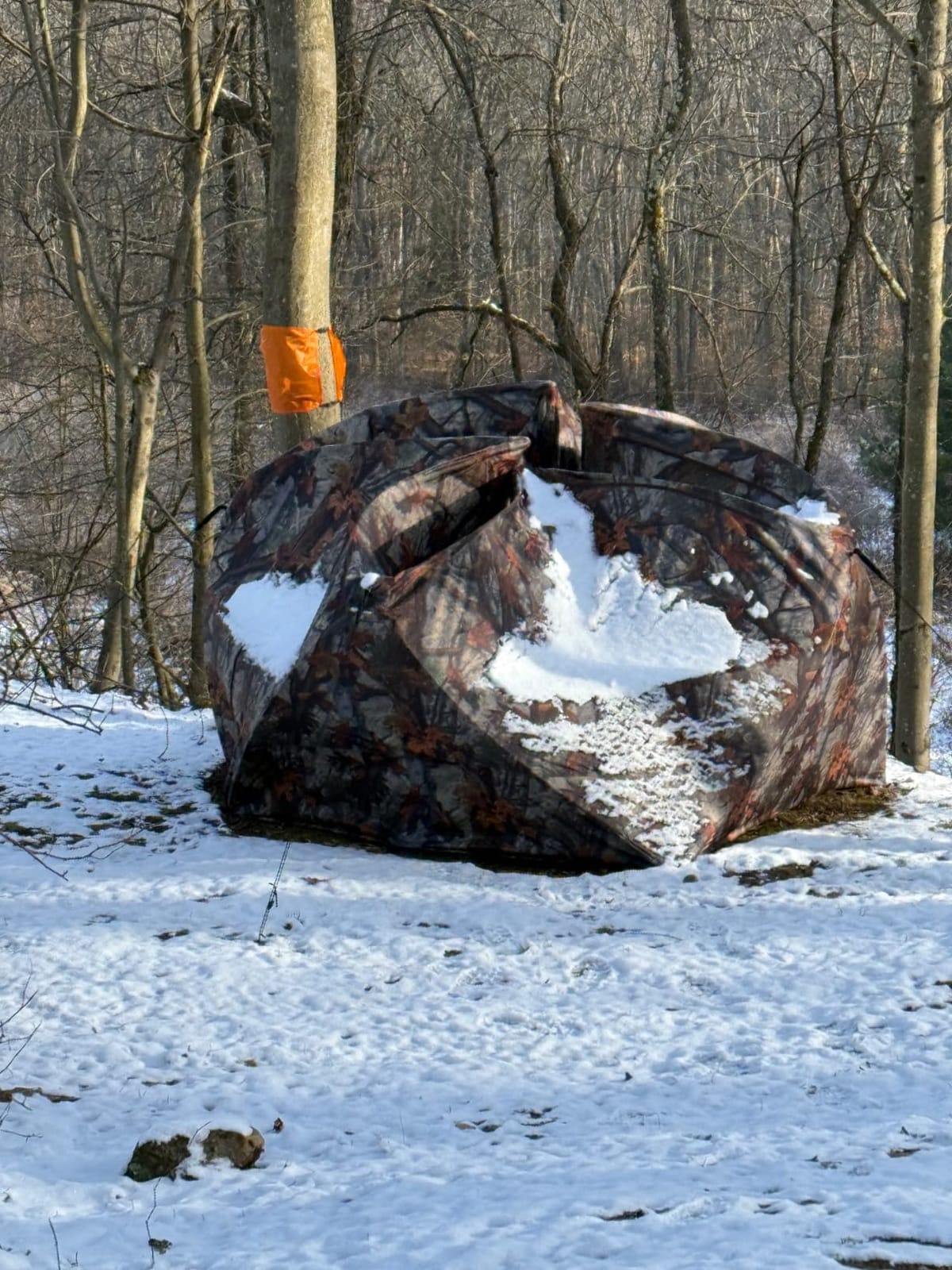 Tag Out Hub Hunting Blind, 3 Person Pop Up Ground Blind, Bloodtrail Woodland Camo and blaze orange safety panels, TA350BT, By Barronett Blinds, 90x90