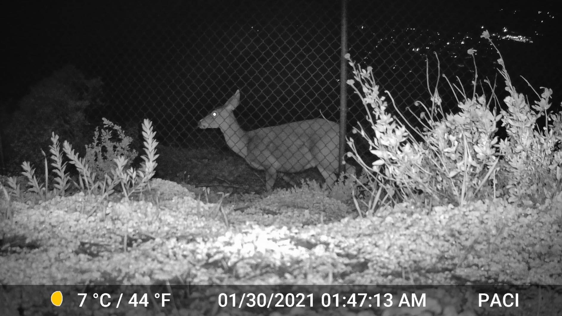 GardePro E5 Non-Cellular Trail Camera, 48MP Photo & 1296P HD Video customer photo 1