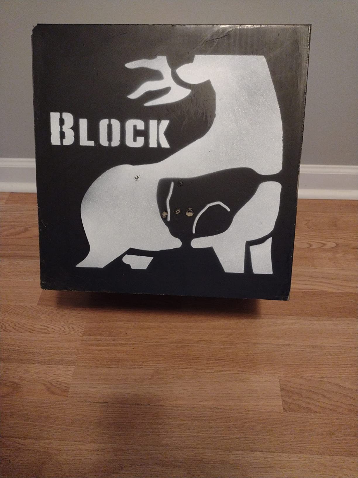 BLOCK Infinity Crossbow 6-Sided Foam Archery Target, 16” x 16” x 16”, 520 FPS PolyFusion High-Density Layered Foam Stops All Field Points and Broadheads, Easy to Remove Arrows, Durable Carrying Handle customer photo 1