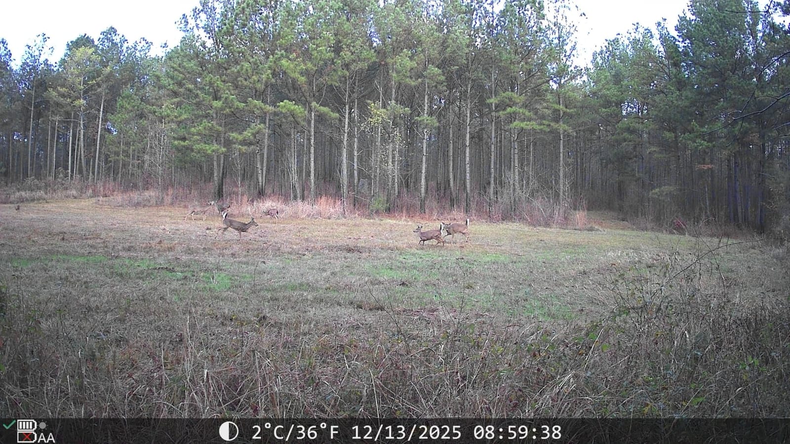 Solareye Trail Camera WiFi - Solar Powered 4K 64MP Game Cameras with Night Vision Motion Activated Waterproof IP66, 120° Detection Angle 0.2s Trigger 940nm No Glow (Emerald Green) customer photo 1