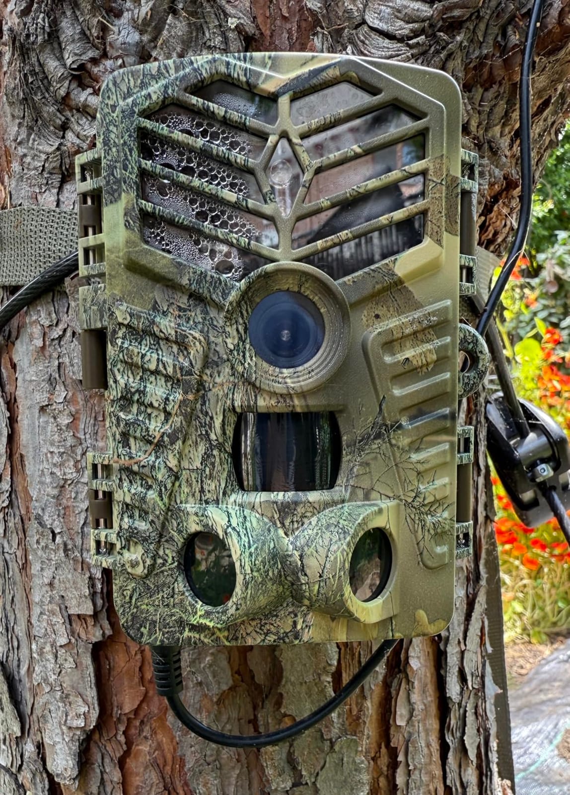 Solareye Trail Camera WiFi - Solar Powered 4K 64MP Game Cameras with Night Vision Motion Activated Waterproof IP66, 120° Detection Angle 0.2s Trigger 940nm No Glow (Emerald Green) customer photo 2