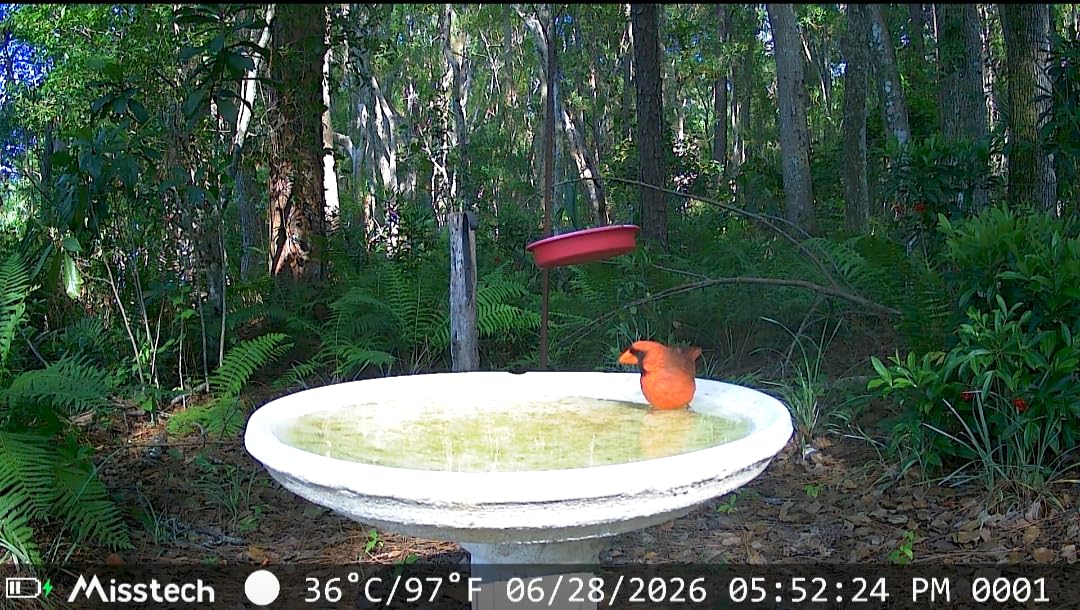 Misstech Solar Trail Camera, 4K/64MP Clear Night Vision for Game & Outdoor customer photo 2